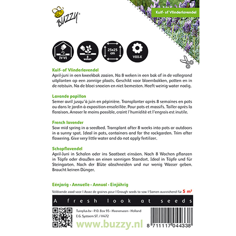 Buzzy® Lavandula, Kuif- of Vlinderlavendel